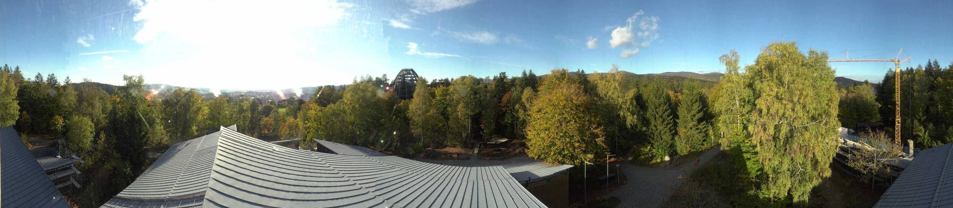 Archiv Foto Webcam Neuschönau - Baumwipfelpfad Bayerischer Wald