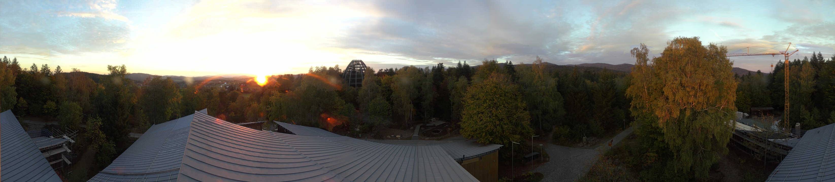 Archiv Foto Webcam Neuschönau - Baumwipfelpfad Bayerischer Wald