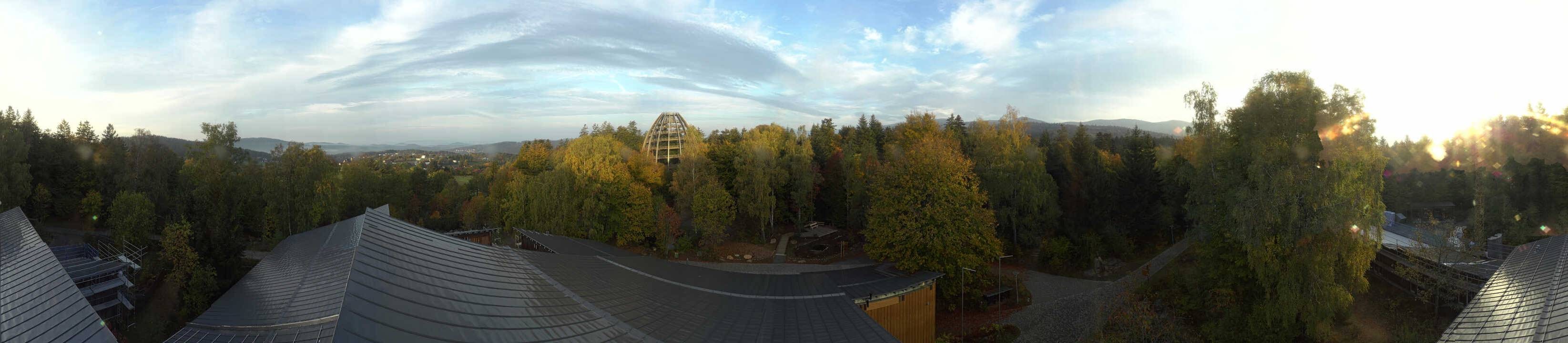 Archiv Foto Webcam Neuschönau - Baumwipfelpfad Bayerischer Wald