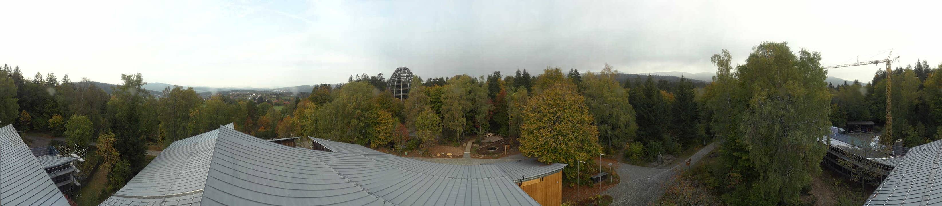 Archiv Foto Webcam Neuschönau - Baumwipfelpfad Bayerischer Wald