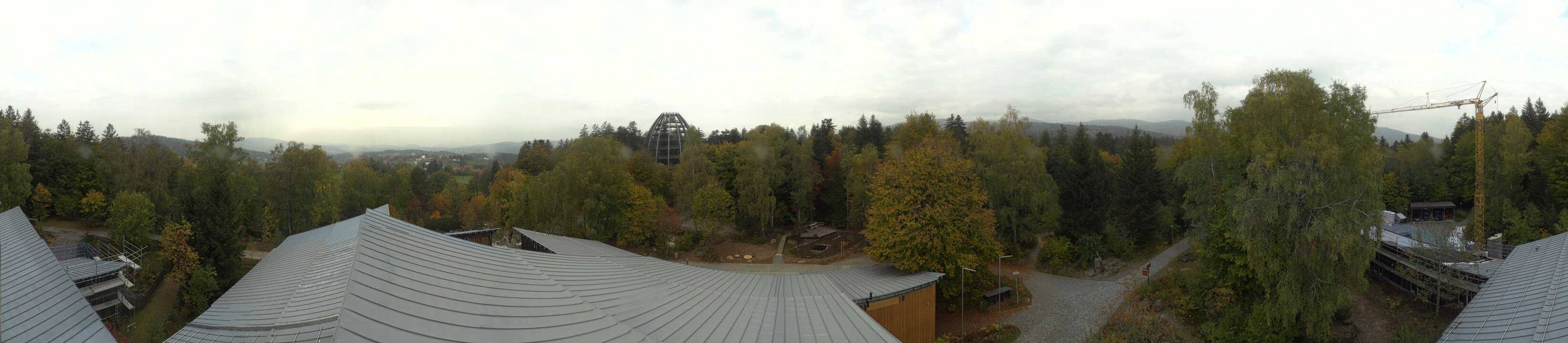 Archiv Foto Webcam Neuschönau - Baumwipfelpfad Bayerischer Wald