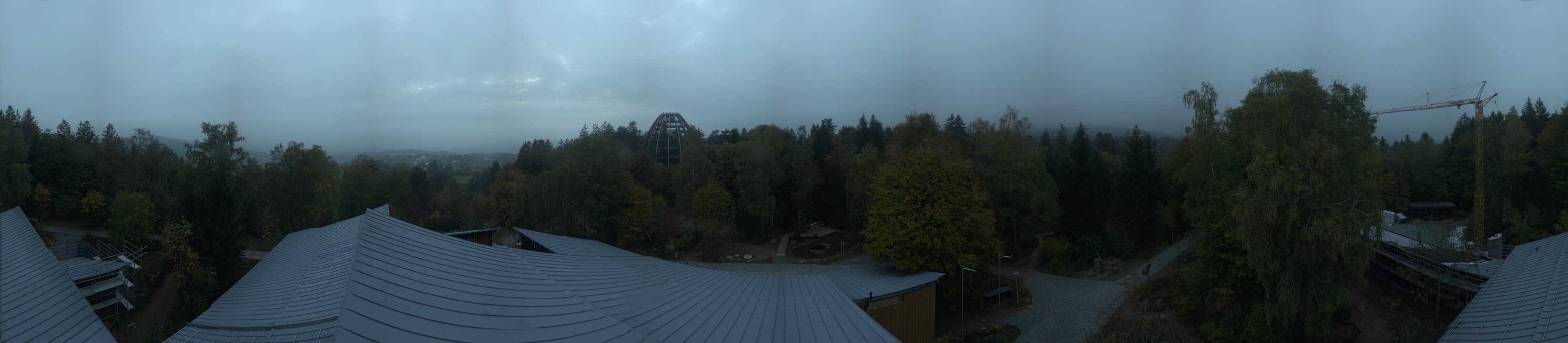Archiv Foto Webcam Neuschönau - Baumwipfelpfad Bayerischer Wald