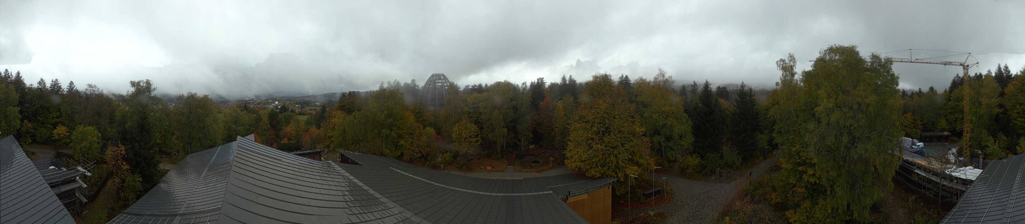 Archiv Foto Webcam Neuschönau - Baumwipfelpfad Bayerischer Wald