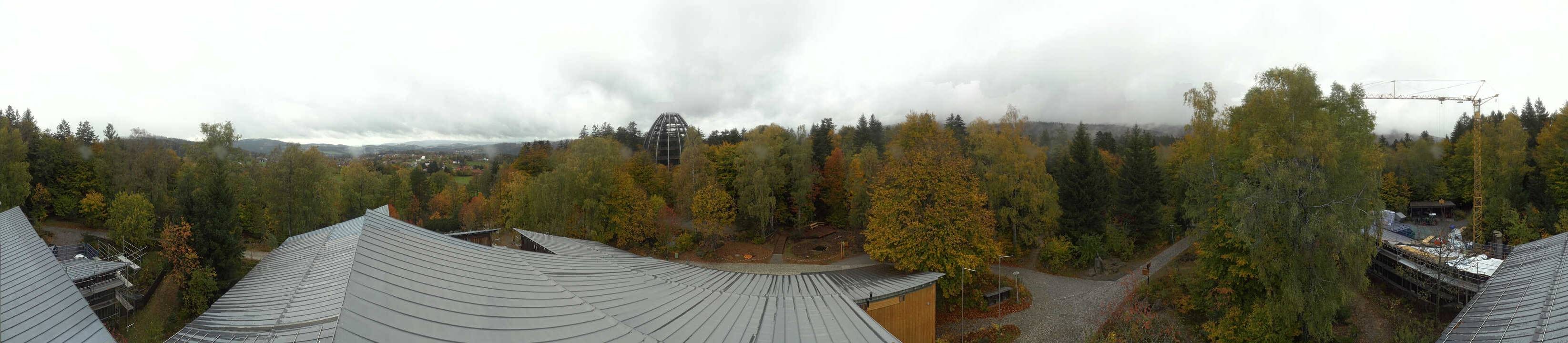 Archiv Foto Webcam Neuschönau - Baumwipfelpfad Bayerischer Wald