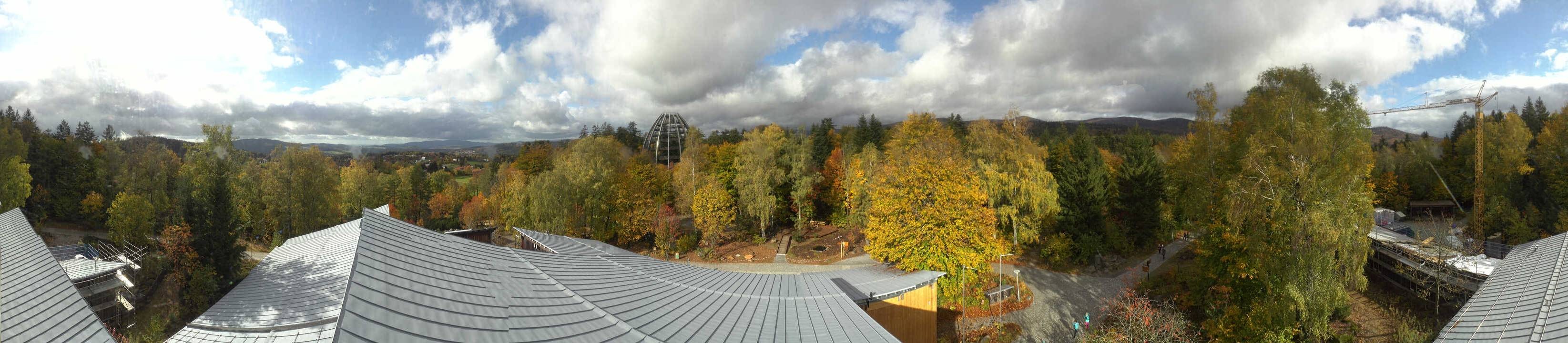Archiv Foto Webcam Neuschönau - Baumwipfelpfad Bayerischer Wald