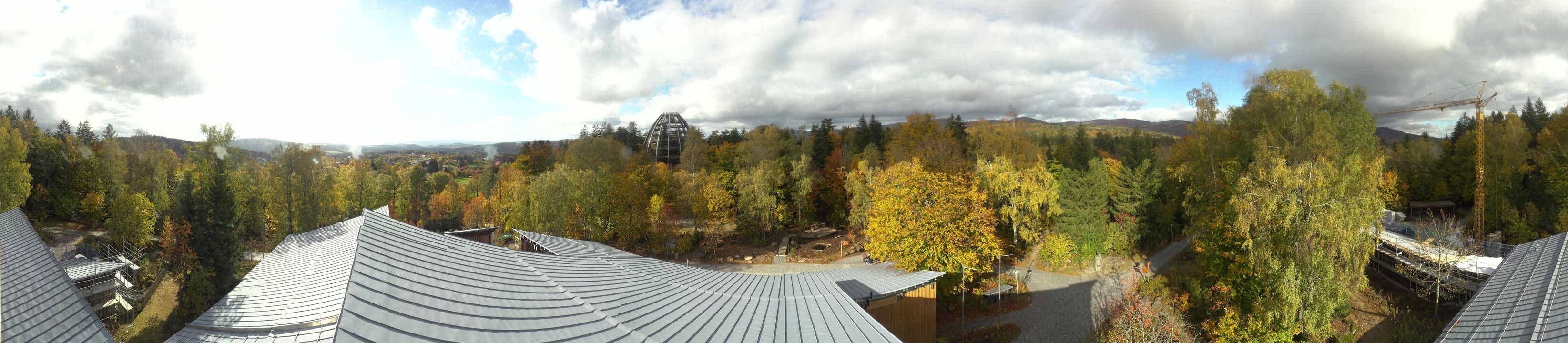 Archiv Foto Webcam Neuschönau - Baumwipfelpfad Bayerischer Wald