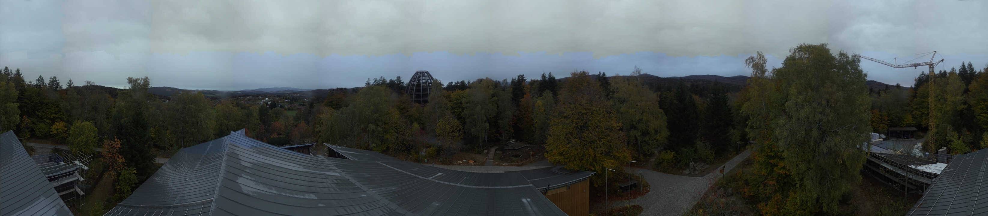 Archiv Foto Webcam Neuschönau - Baumwipfelpfad Bayerischer Wald