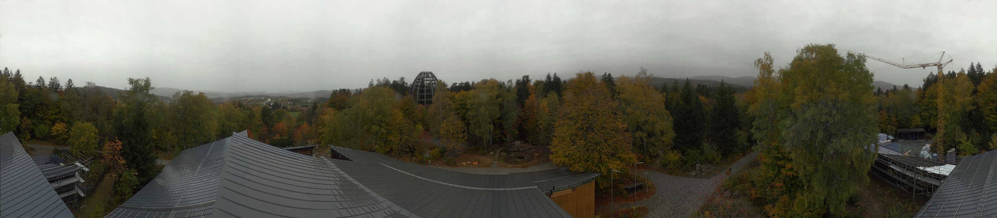 Archiv Foto Webcam Neuschönau - Baumwipfelpfad Bayerischer Wald