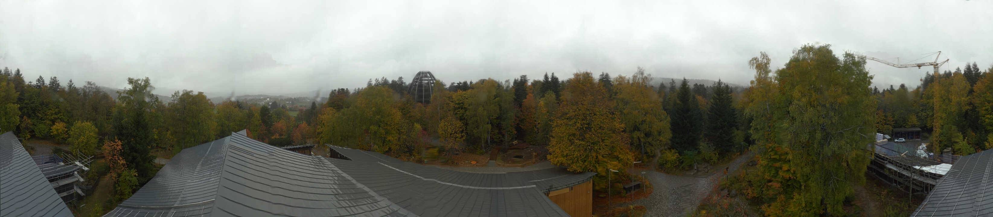 Archiv Foto Webcam Neuschönau - Baumwipfelpfad Bayerischer Wald