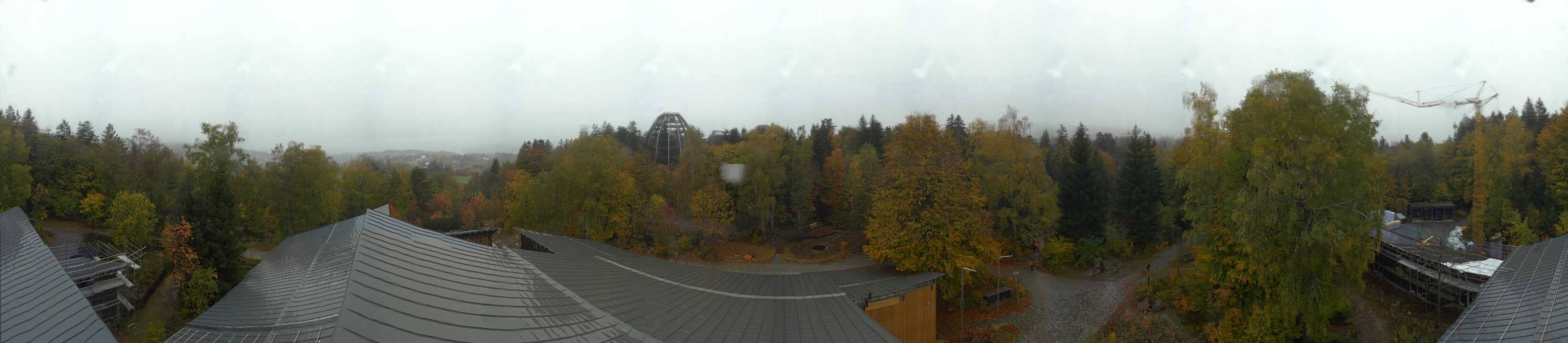 Archiv Foto Webcam Neuschönau - Baumwipfelpfad Bayerischer Wald