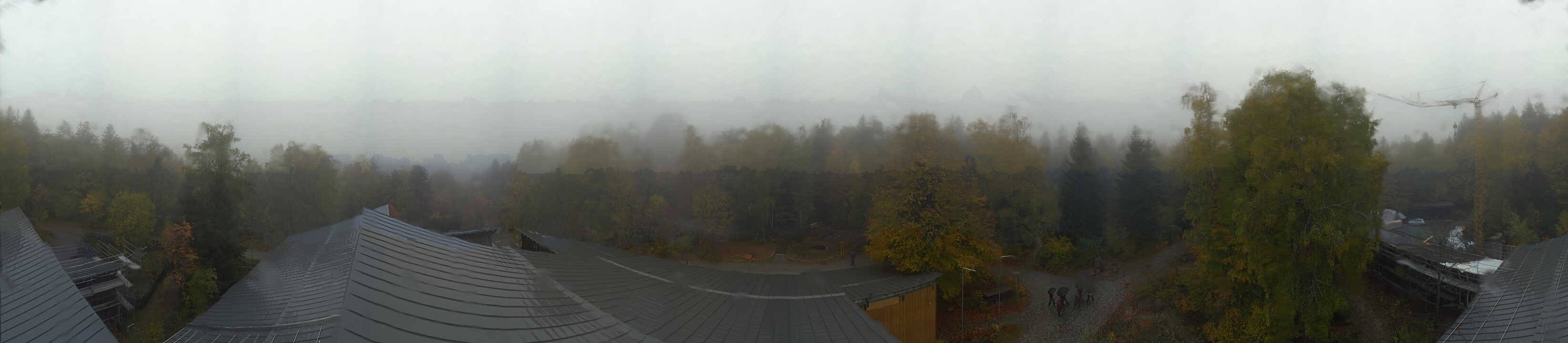 Archived image Webcam Neuschönau - Tree Top Walk Bavarian Forest
