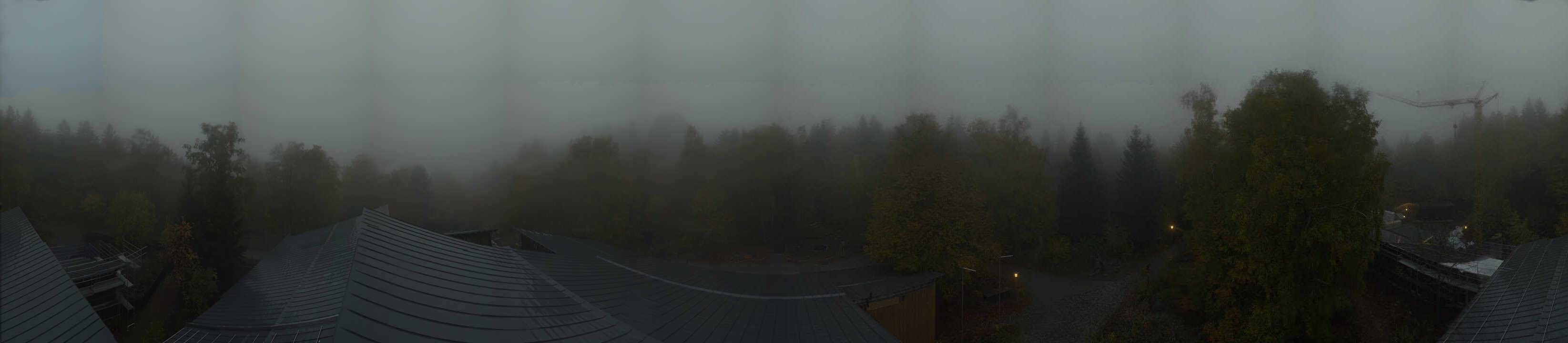 Archived image Webcam Neuschönau - Tree Top Walk Bavarian Forest