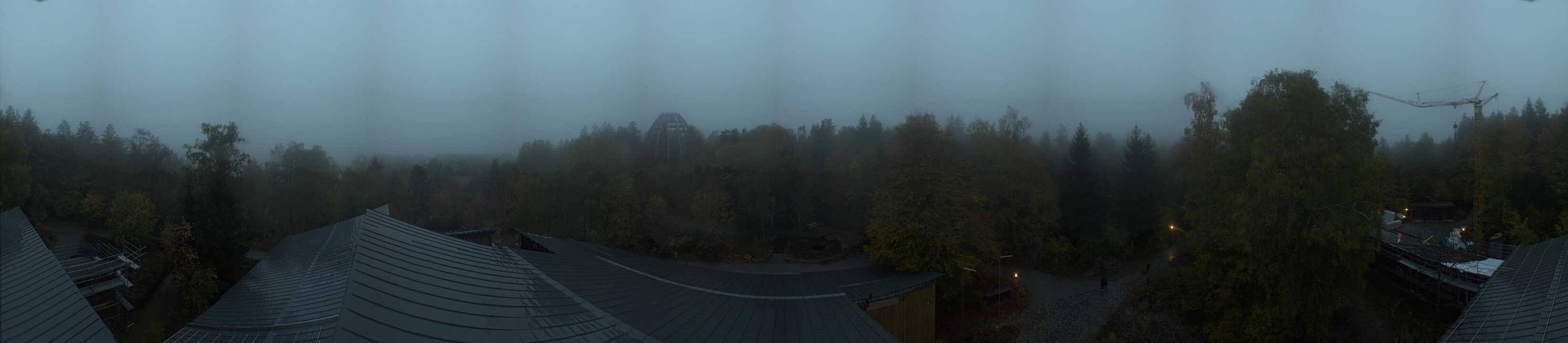 Archived image Webcam Neuschönau - Tree Top Walk Bavarian Forest