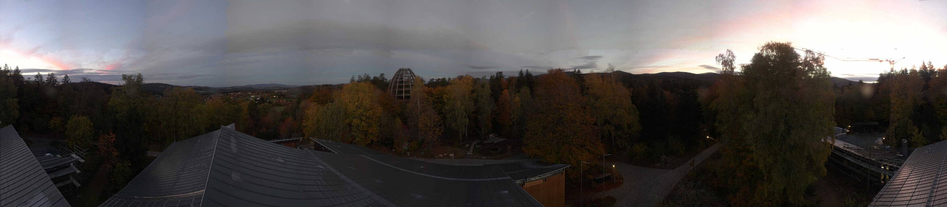 Archiv Foto Webcam Neuschönau - Baumwipfelpfad Bayerischer Wald