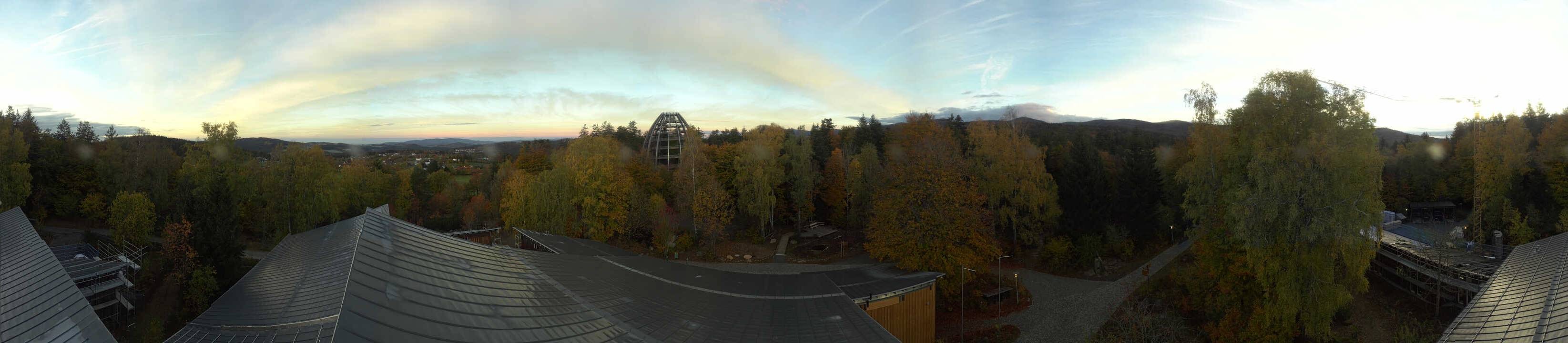 Archiv Foto Webcam Neuschönau - Baumwipfelpfad Bayerischer Wald