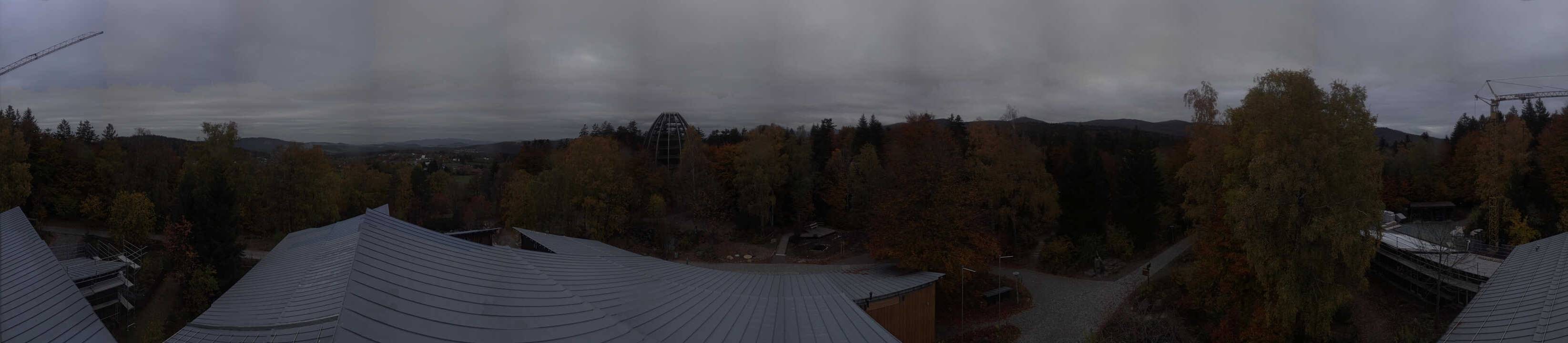 Archiv Foto Webcam Neuschönau - Baumwipfelpfad Bayerischer Wald