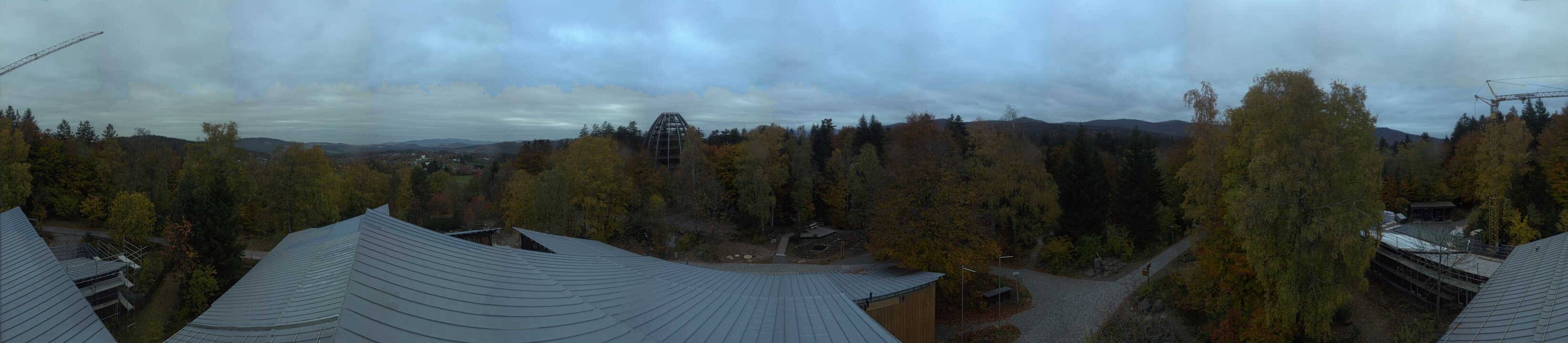 Archiv Foto Webcam Neuschönau - Baumwipfelpfad Bayerischer Wald