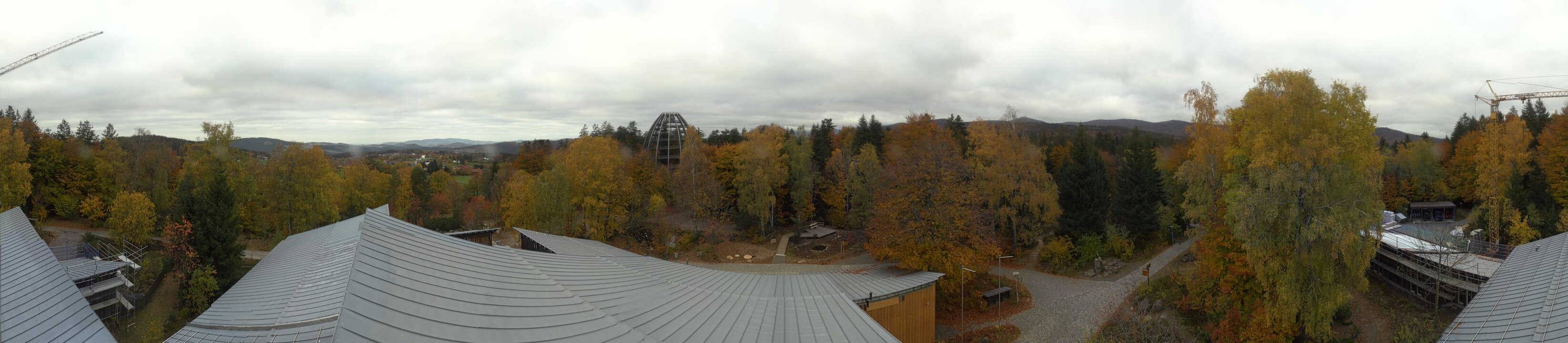 Archiv Foto Webcam Neuschönau - Baumwipfelpfad Bayerischer Wald