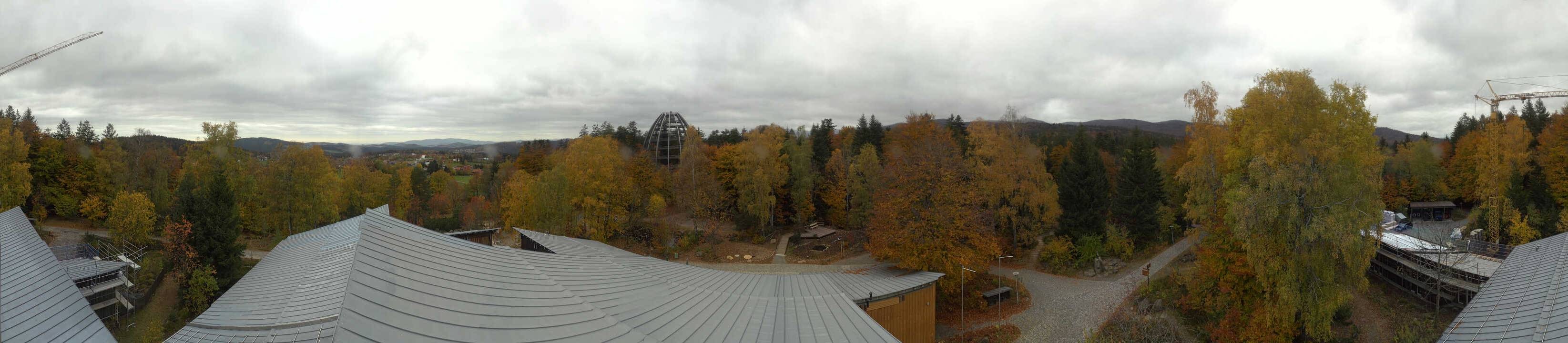 Archiv Foto Webcam Neuschönau - Baumwipfelpfad Bayerischer Wald