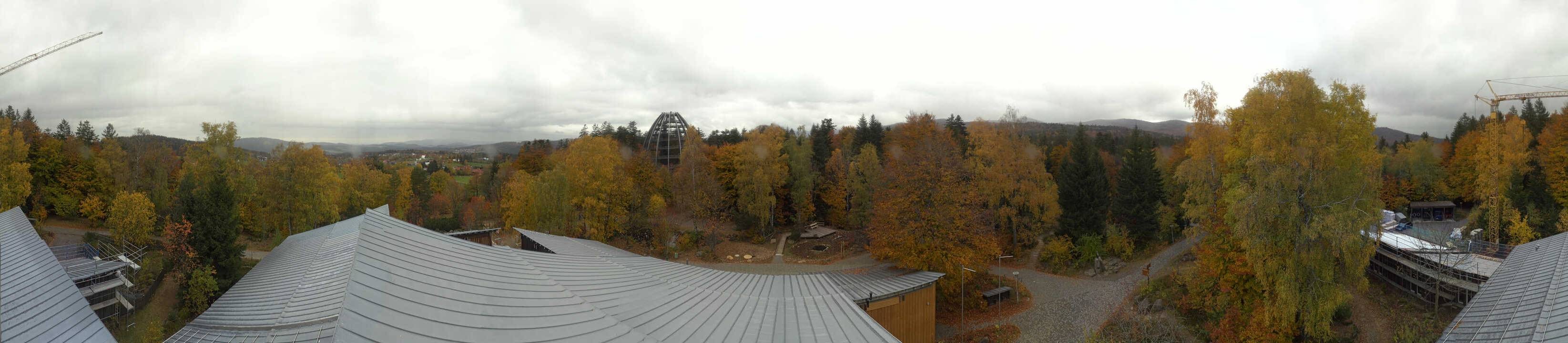 Archiv Foto Webcam Neuschönau - Baumwipfelpfad Bayerischer Wald