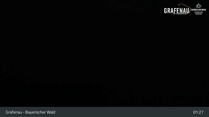 Archiv Foto Webcam Bärenstadt Grafenau