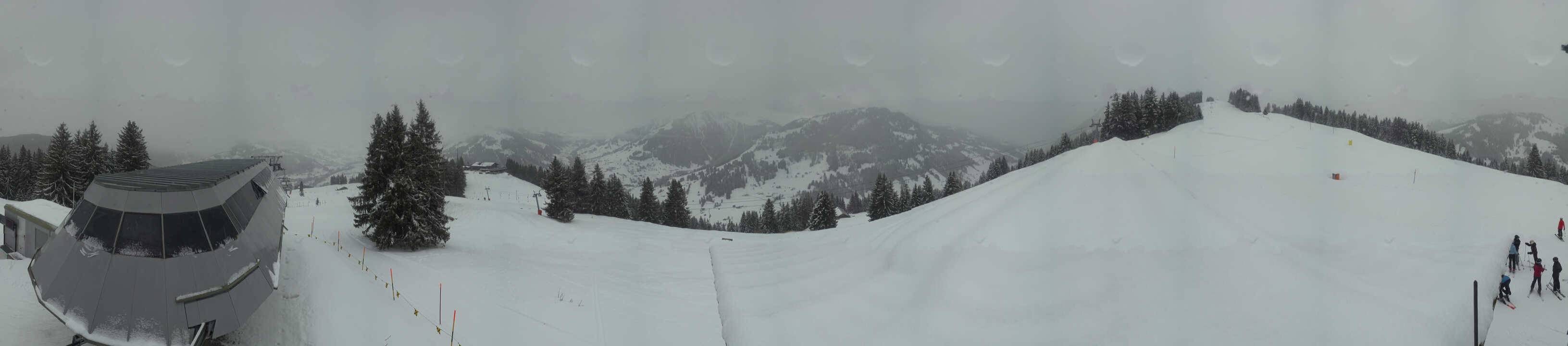 Archiv Foto Webcam Gstaad - Bergstation Saanen-Eggli