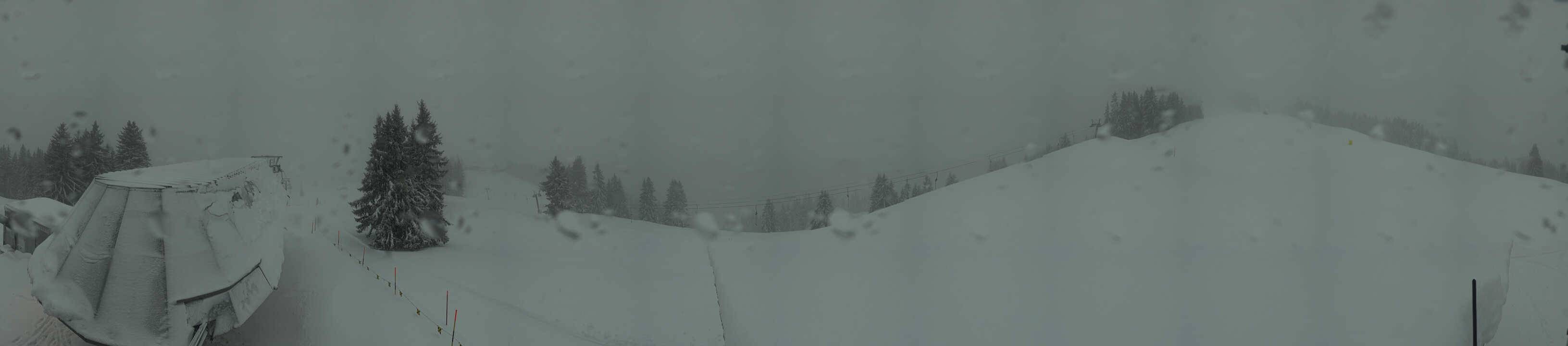 Archiv Foto Webcam Gstaad - Bergstation Saanen-Eggli