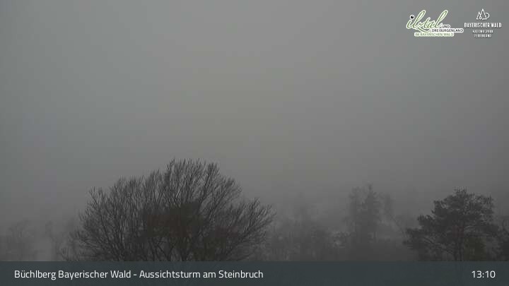 Archiv Foto Webcam Büchlberg und Steinbruchsee vom Aussichtsturm