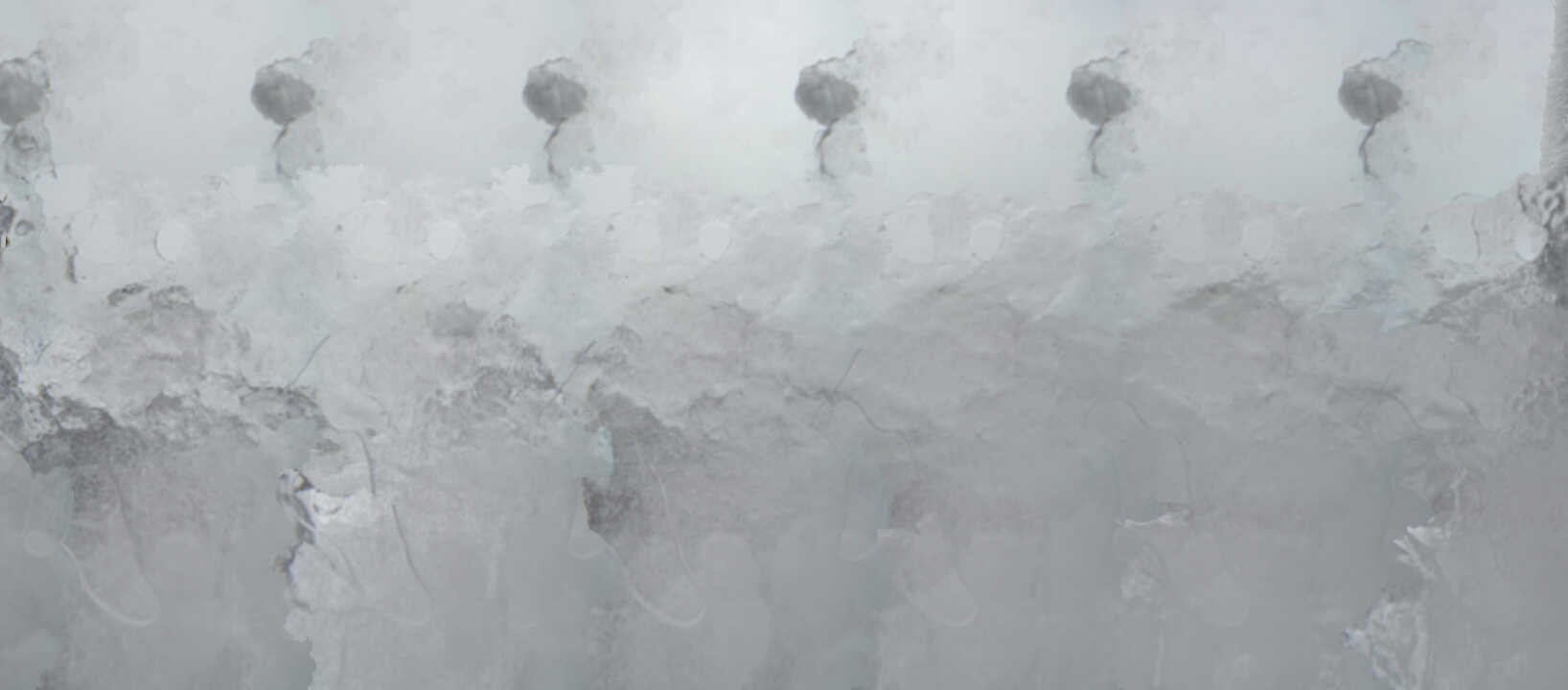 Archiv Foto Webcam Grünten - Ausblick auf Sonthofen und Immenstadt