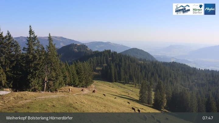 Archiv Foto Webcam Bolsterlang - Bergstation Weiherkopf