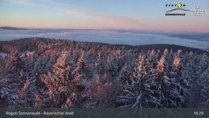 Archiv Foto Webcam Brotjacklriegel - Blick vom Aussichtsturm