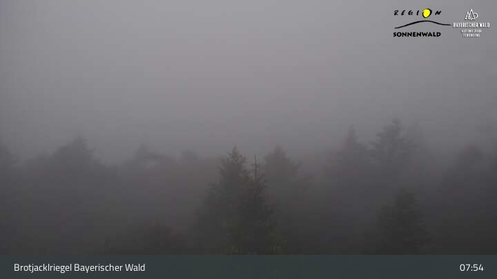 Archived image Webcam Brotjacklriegel - View from the lookout tower