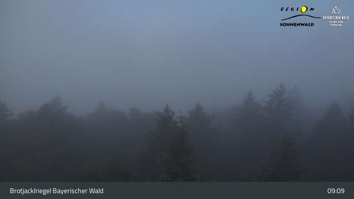 Archiv Foto Webcam Brotjacklriegel - Blick vom Aussichtsturm