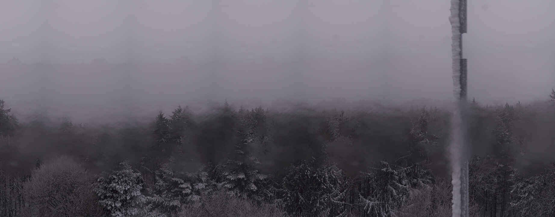 Archiv Foto Webcam Aussichtsturm am Brotjacklriegel