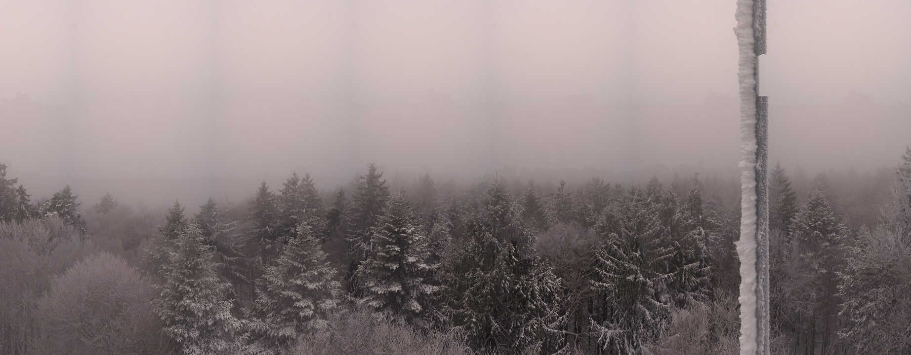 Archiv Foto Webcam Aussichtsturm am Brotjacklriegel