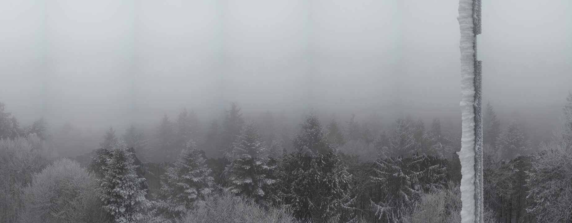 Archiv Foto Webcam Aussichtsturm am Brotjacklriegel