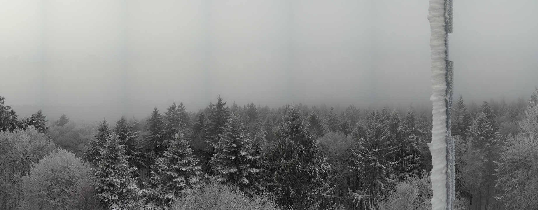 Archiv Foto Webcam Aussichtsturm am Brotjacklriegel