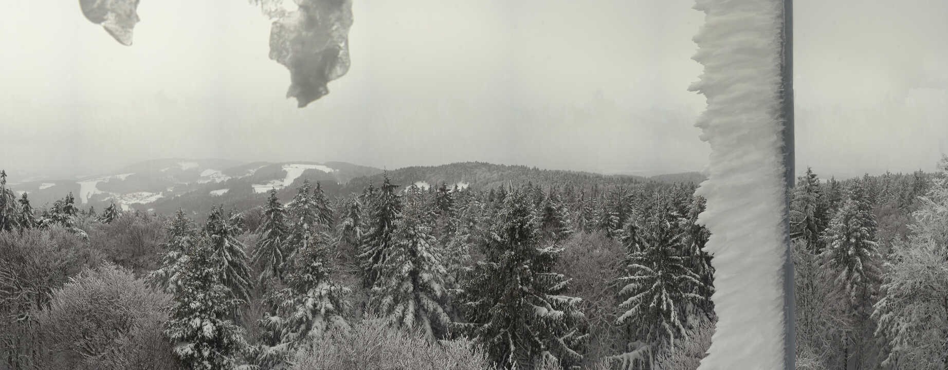 Archiv Foto Webcam Aussichtsturm am Brotjacklriegel