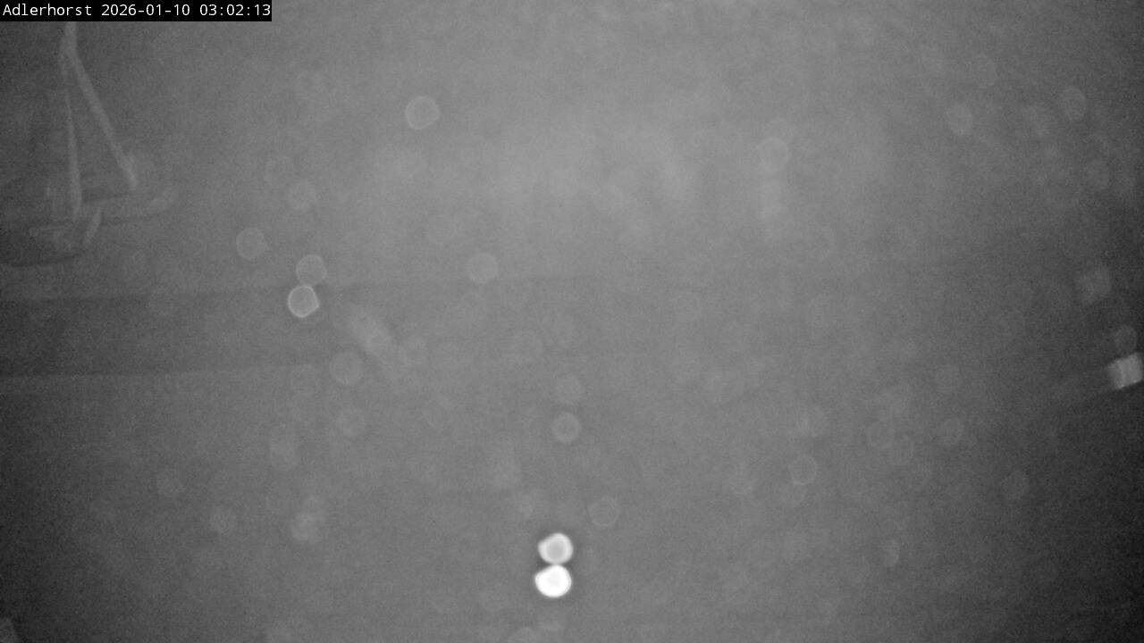 Archiv Foto Webcam Willingen: Skisprungschanze Adlerhorst