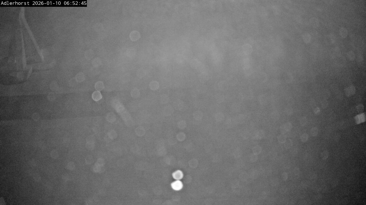 Archiv Foto Webcam Willingen: Skisprungschanze Adlerhorst