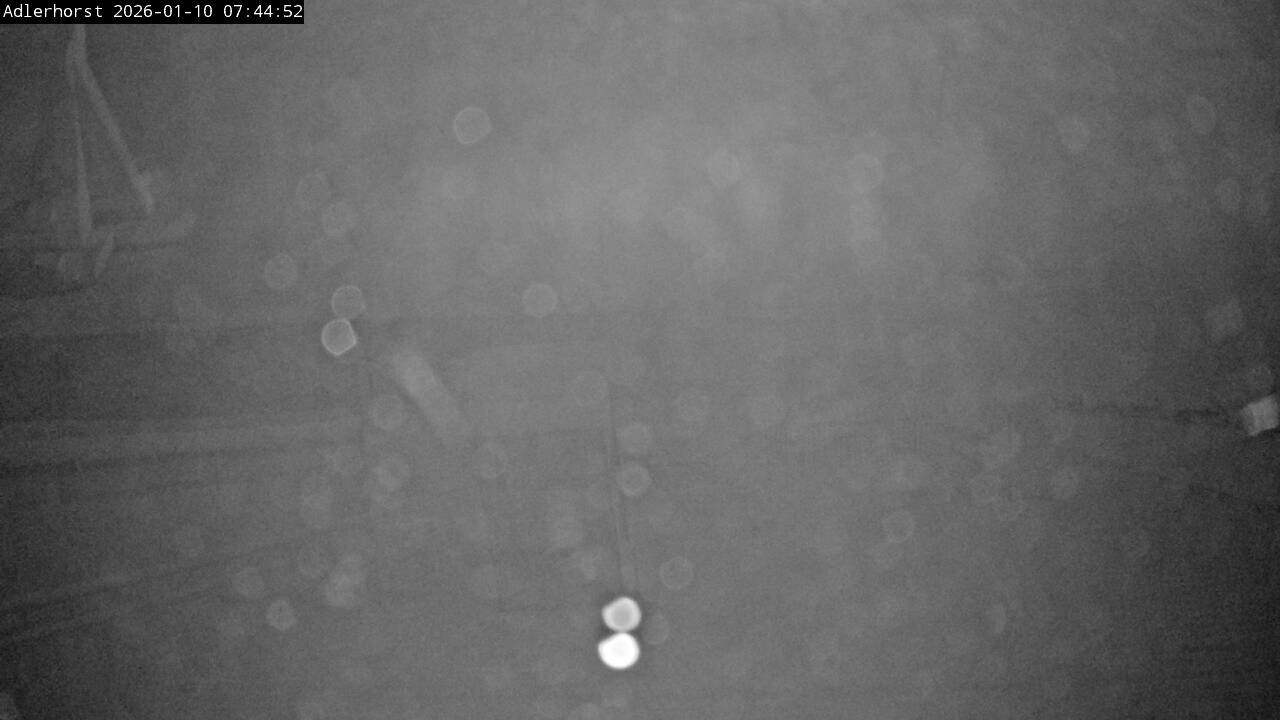 Archiv Foto Webcam Willingen: Skisprungschanze Adlerhorst