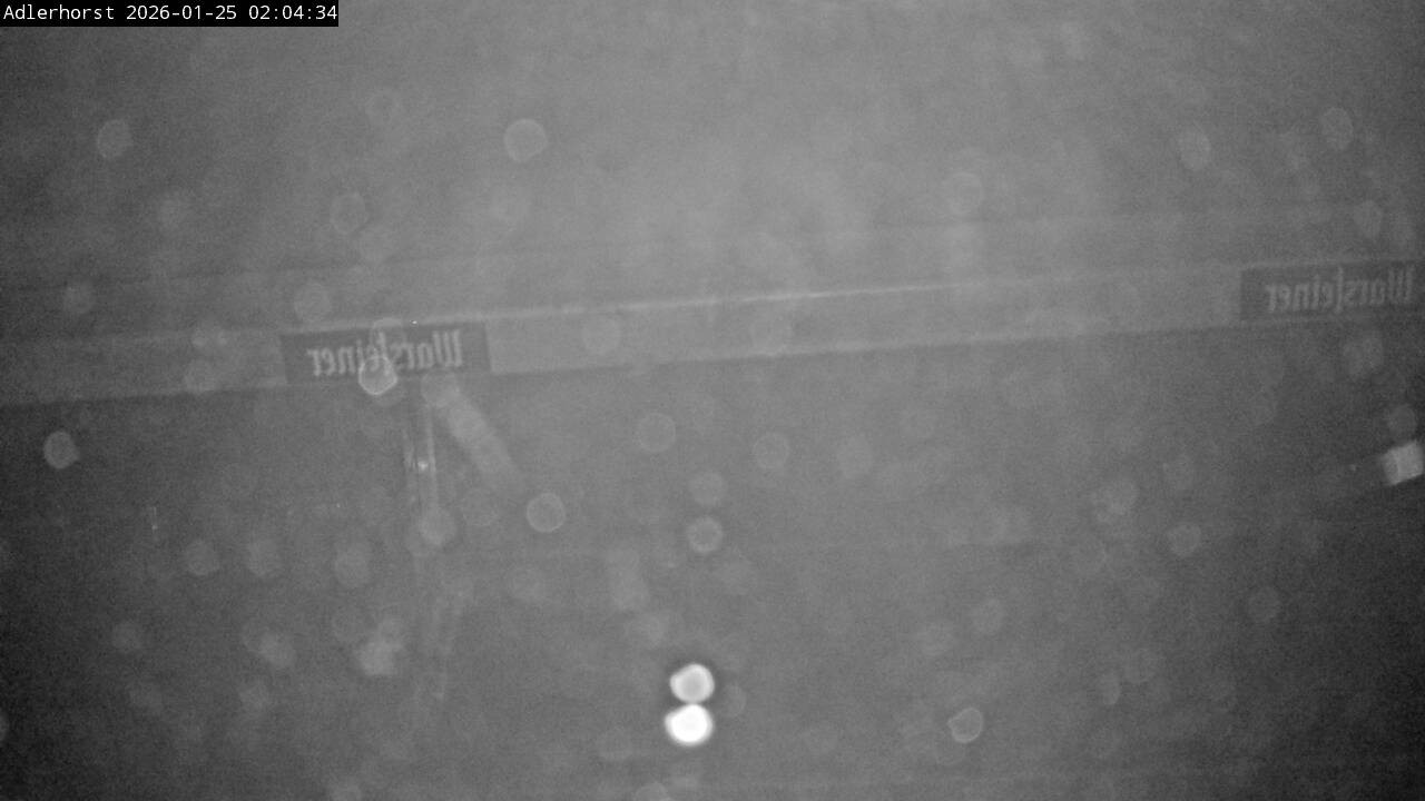 Archiv Foto Webcam Willingen: Skisprungschanze Adlerhorst