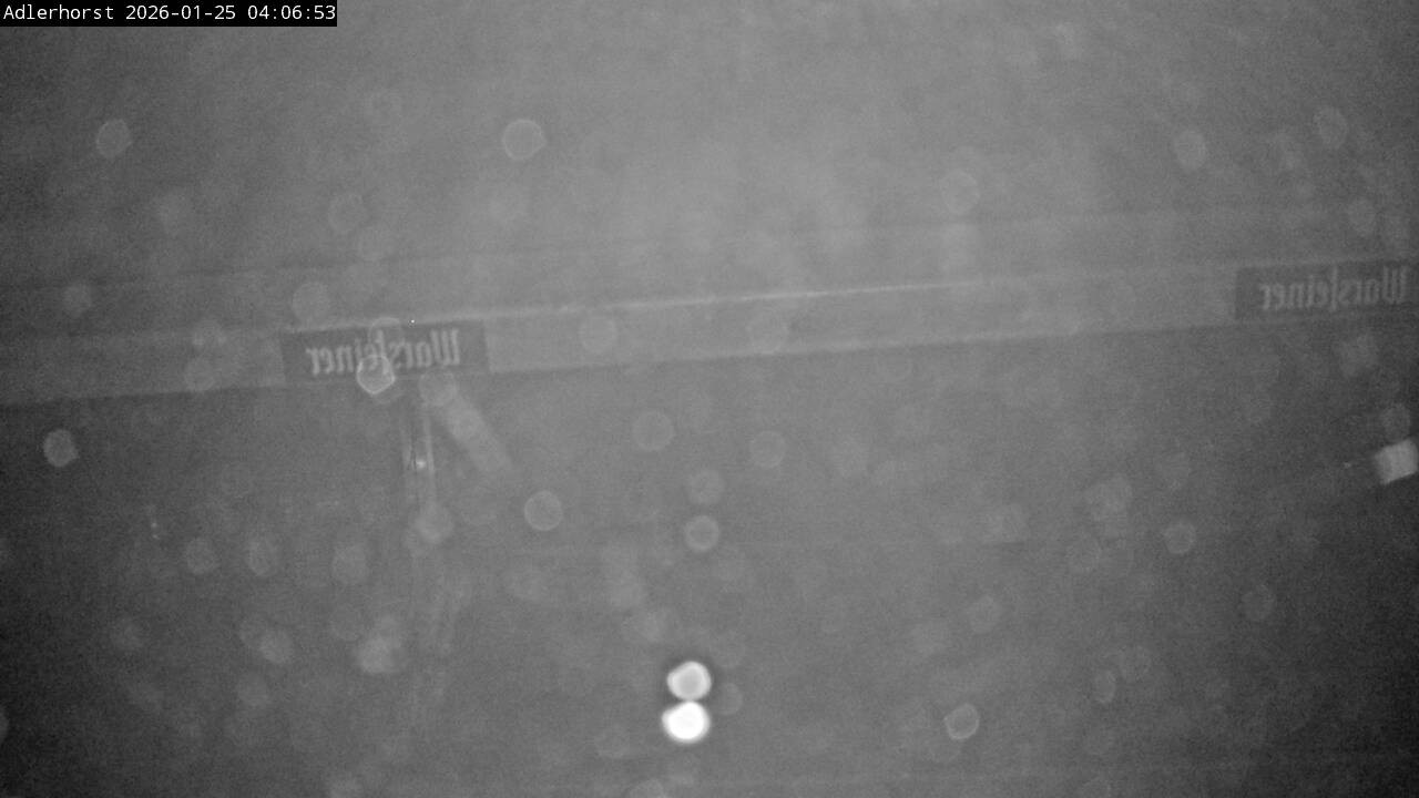 Archiv Foto Webcam Willingen: Skisprungschanze Adlerhorst