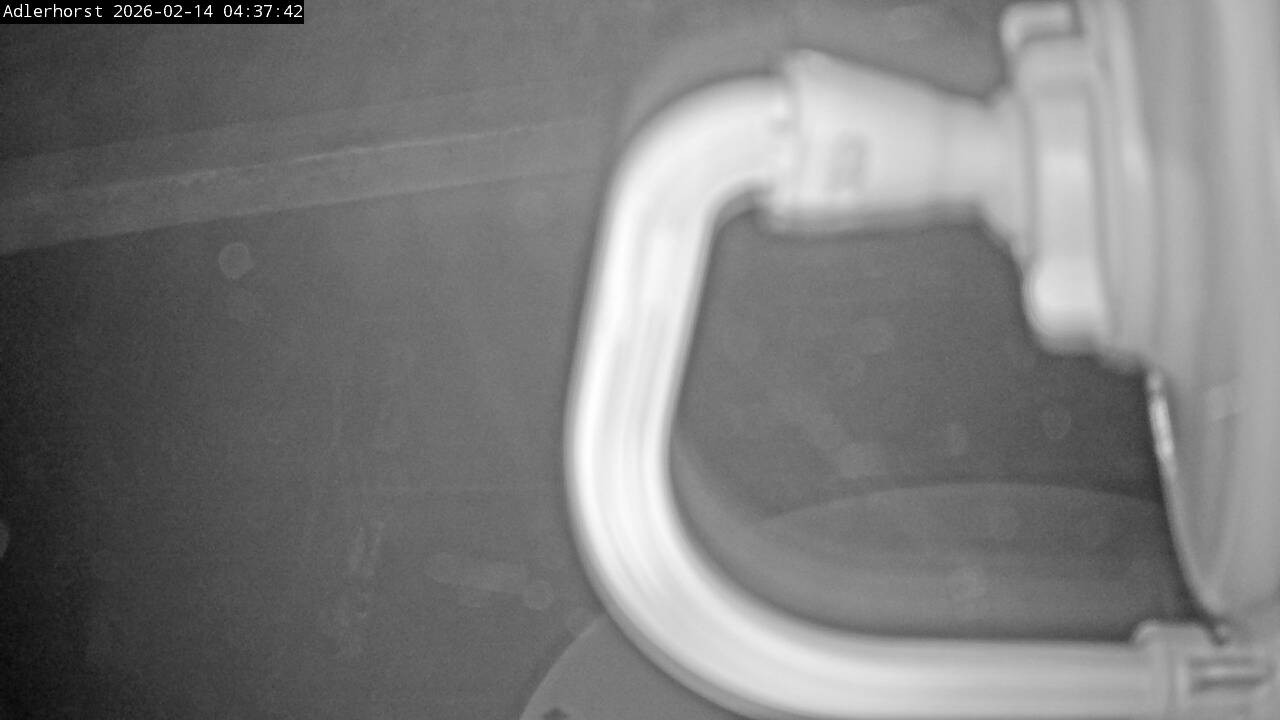 Archiv Foto Webcam Willingen: Skisprungschanze Adlerhorst