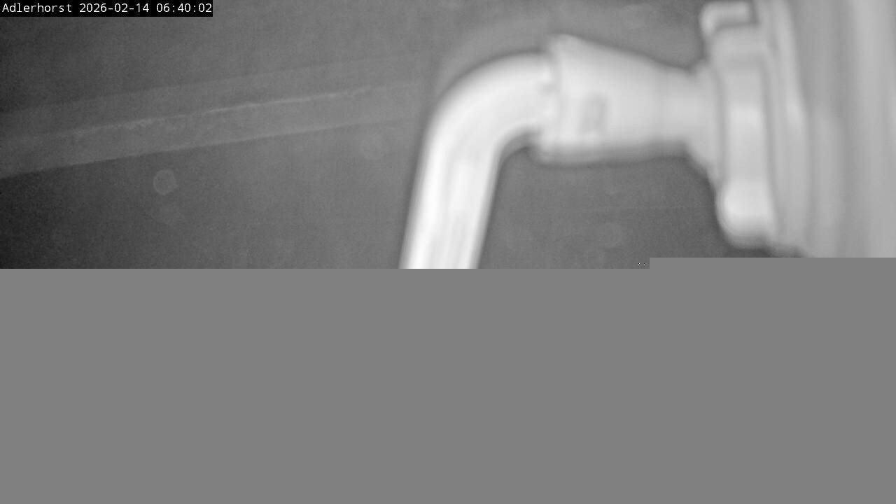 Archiv Foto Webcam Willingen: Skisprungschanze Adlerhorst