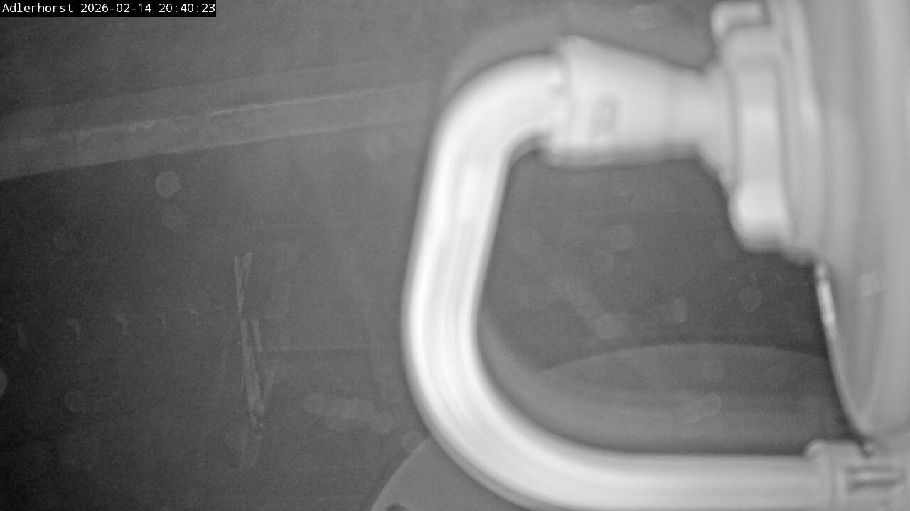 Archiv Foto Webcam Willingen: Skisprungschanze Adlerhorst