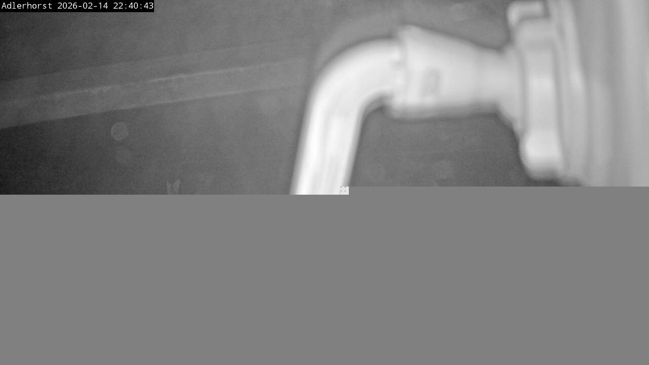 Archiv Foto Webcam Willingen: Skisprungschanze Adlerhorst