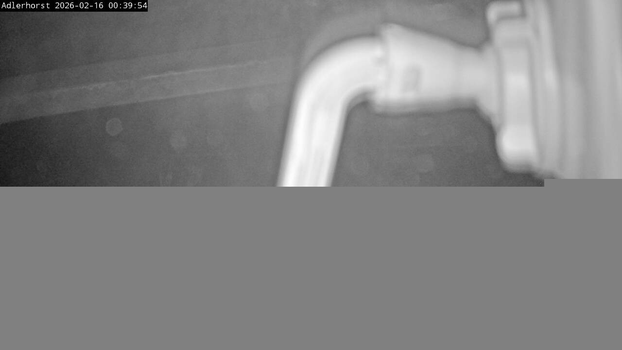 Archived image Webcam Willingen: View Ski Jumping Area