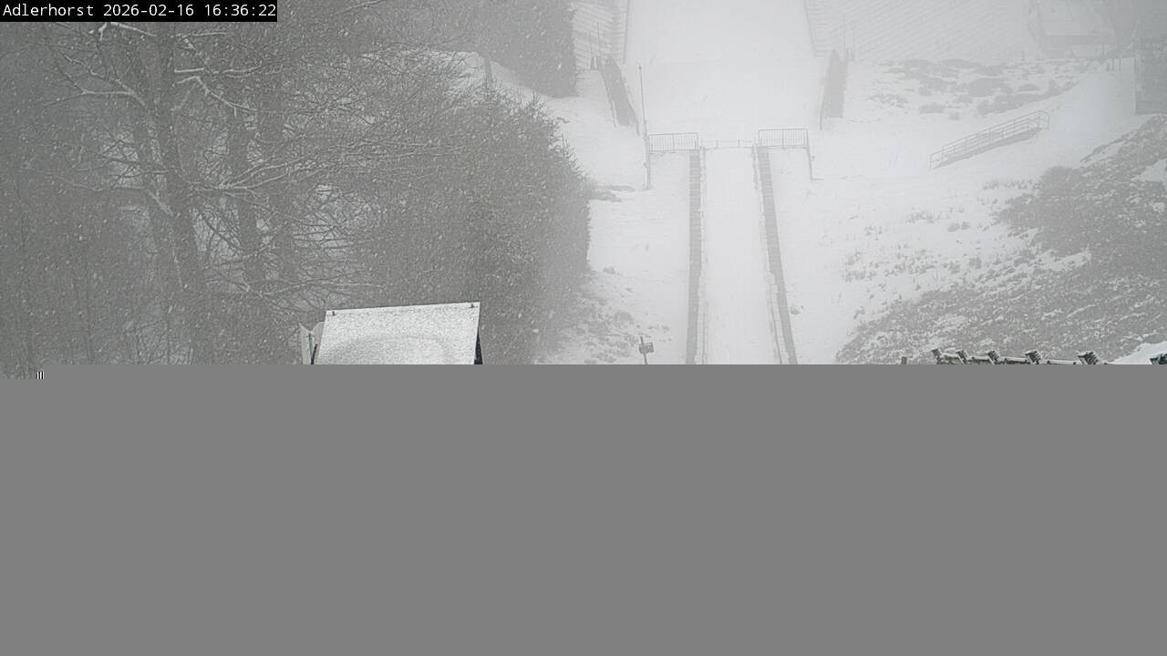 Archived image Webcam Willingen: View Ski Jumping Area