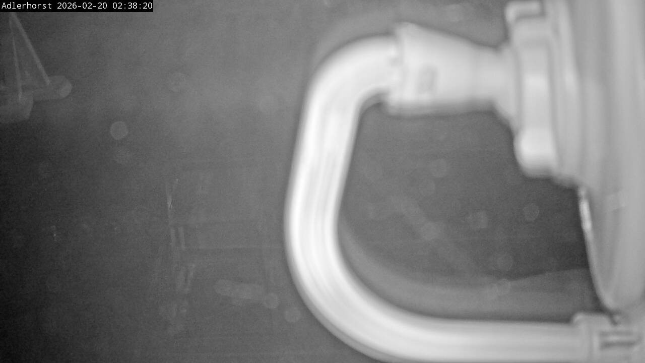 Archived image Webcam Willingen: View Ski Jumping Area